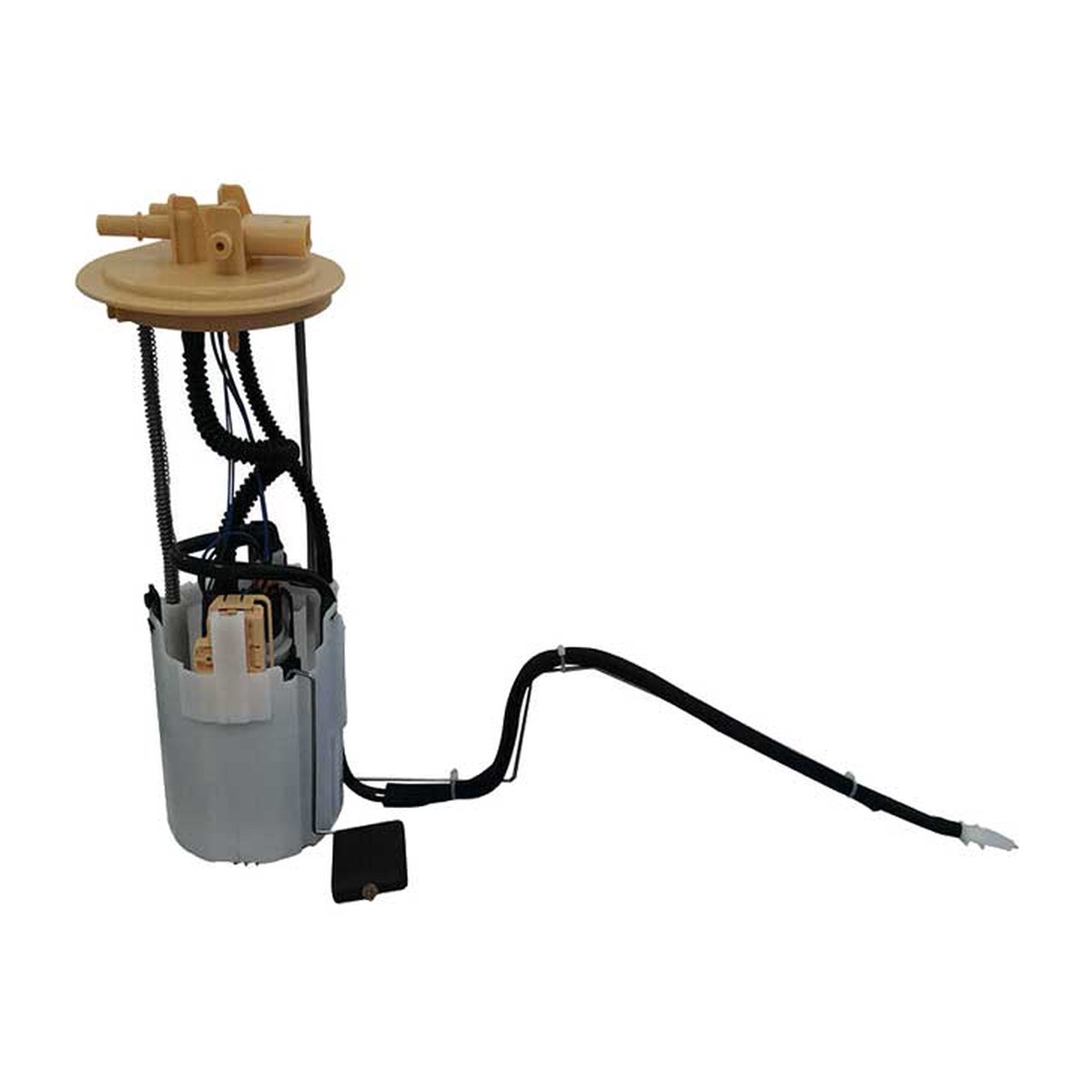 product-details