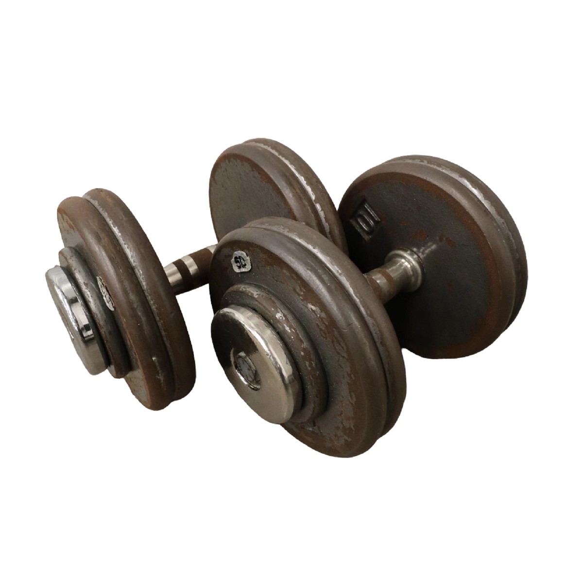 Freeweights Pro Style Dumbbell 50 LB Pair Freeweights & Accessories