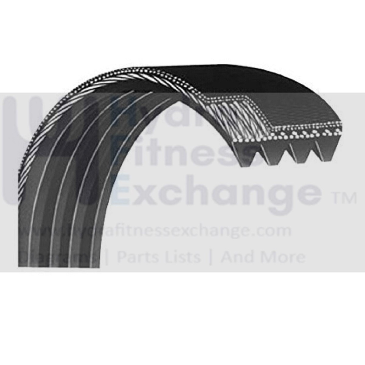 Xterra Fitness TR150- 450887 Treadmill Motor Drive Belt N011005 5096-200J6 PJ508