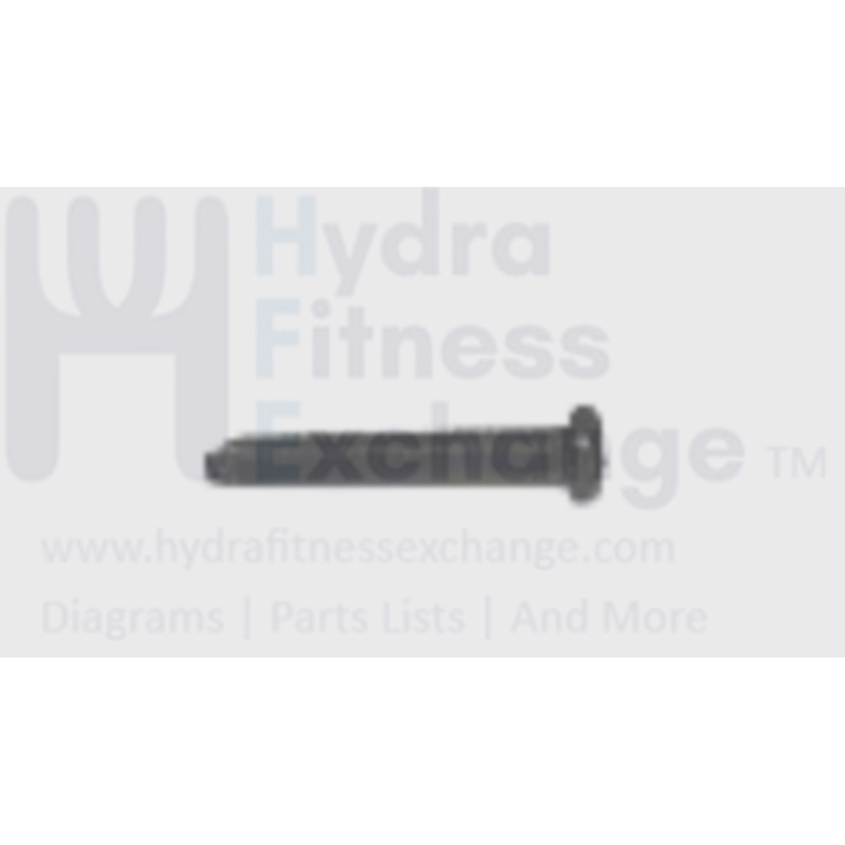 AFG Horizon Fitness Gear TM329 TM330 TM331 TM332 EP163 EP120 EP139 Elliptical Round Hex Socket Screw M2x0.4Px16L 004513-Z