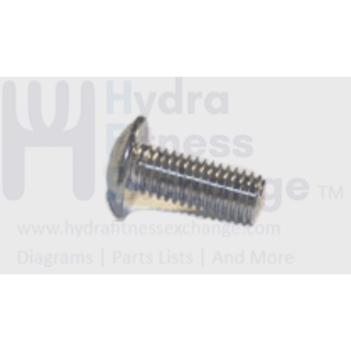 AFG Horizon Matrix Vision Fitness Livestrong Elliptical Umbrella Hex Socket Screw M8x1.25Px20L 004720-AC