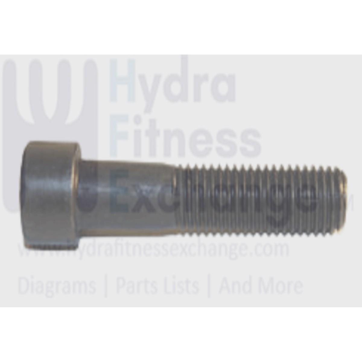 AFG Horizon Vision Fitness Livestrong Treadmill Round Hex Socket Screw M12x1.75Px60L 020077-00