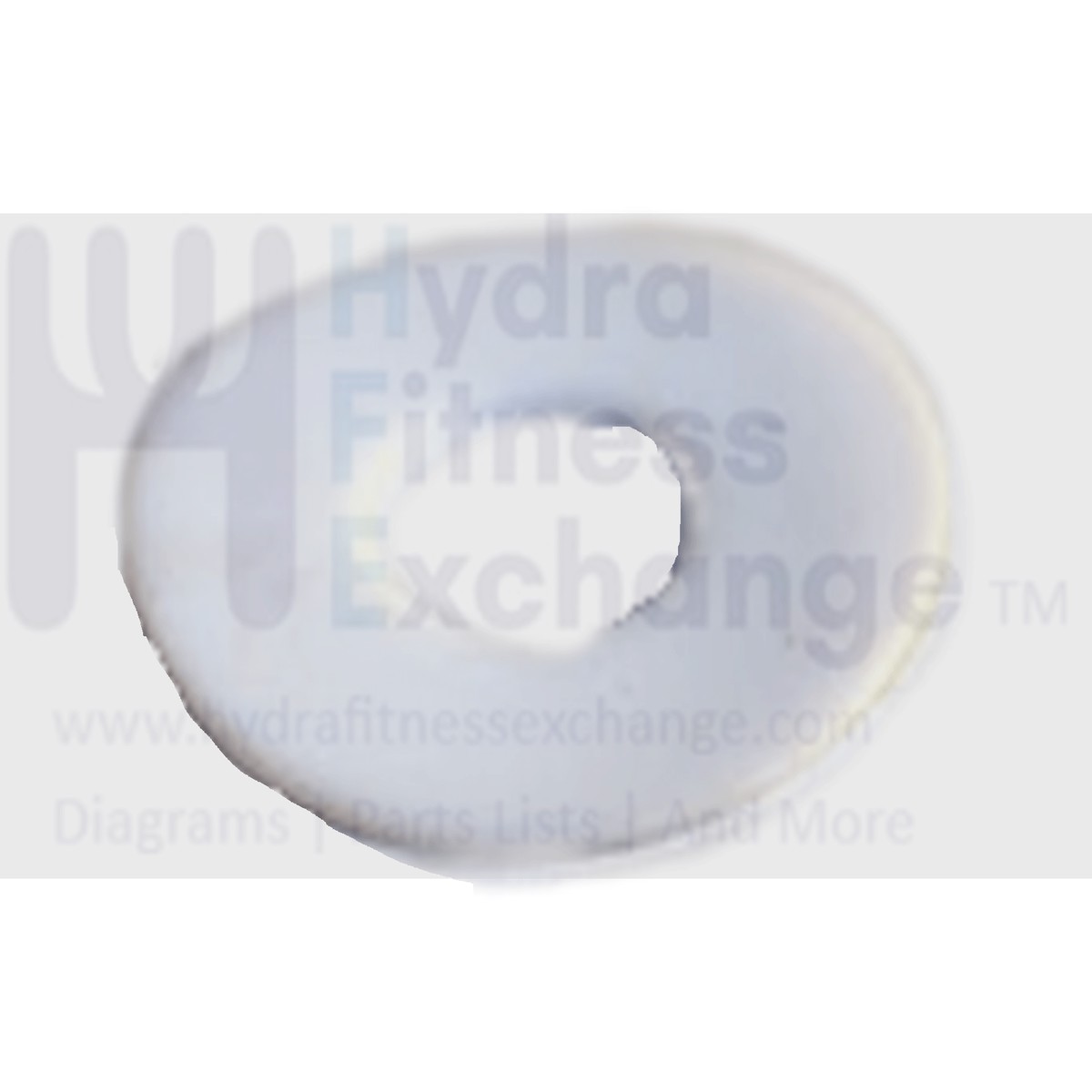 AFG Horizon Livestrong Vision Fitness Treadmill Teflon Washer M12x30Px1T 011179-00