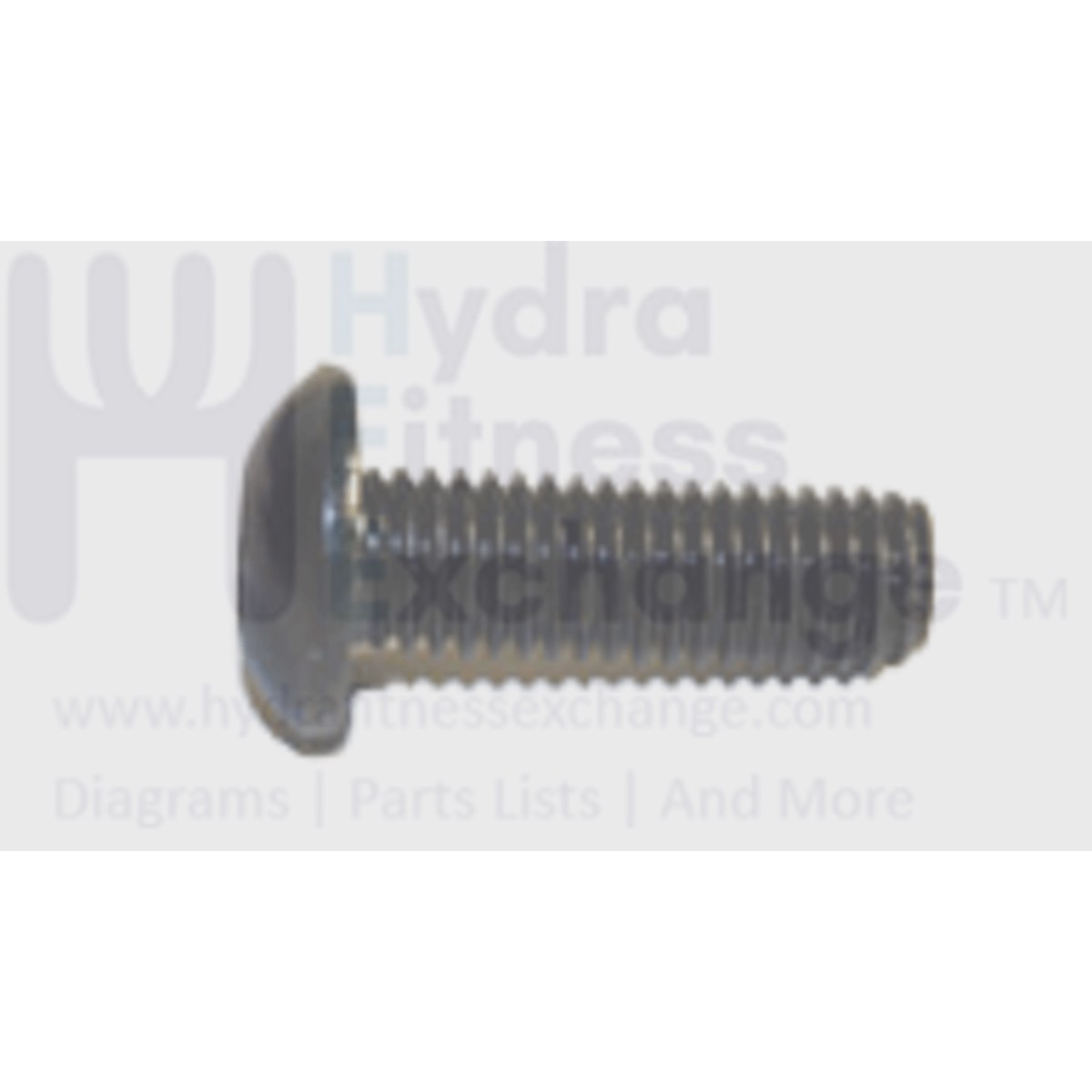 AFG Horizon Matrix Vision Fitness Treadmill Button Head Hex Socket Screw M8x1.25Px25L 004721-00