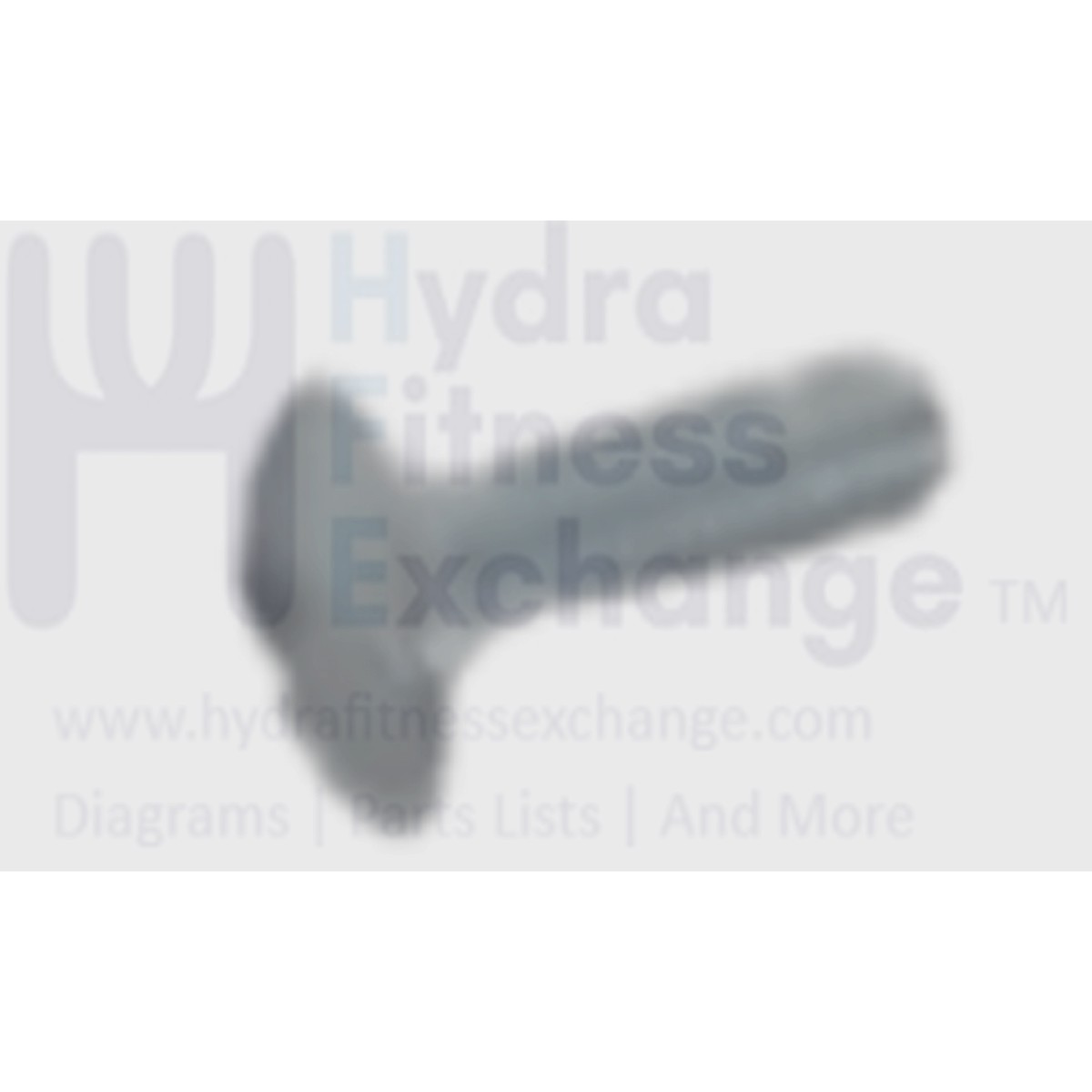 AFG Horizon Fitness Elite U7 7.3AU Stationary Bike Button Head Bolt M5x0.8x15L 1000350652