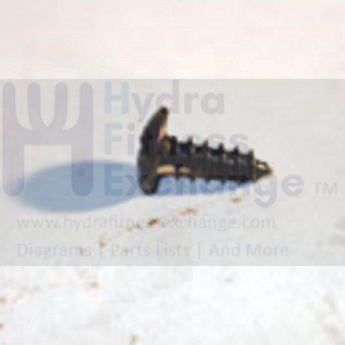 AFG Horizon Matrix Tempo Livestrong Stationary Bike Umbrella Cross Tapped Screw 4x12L 004616-00