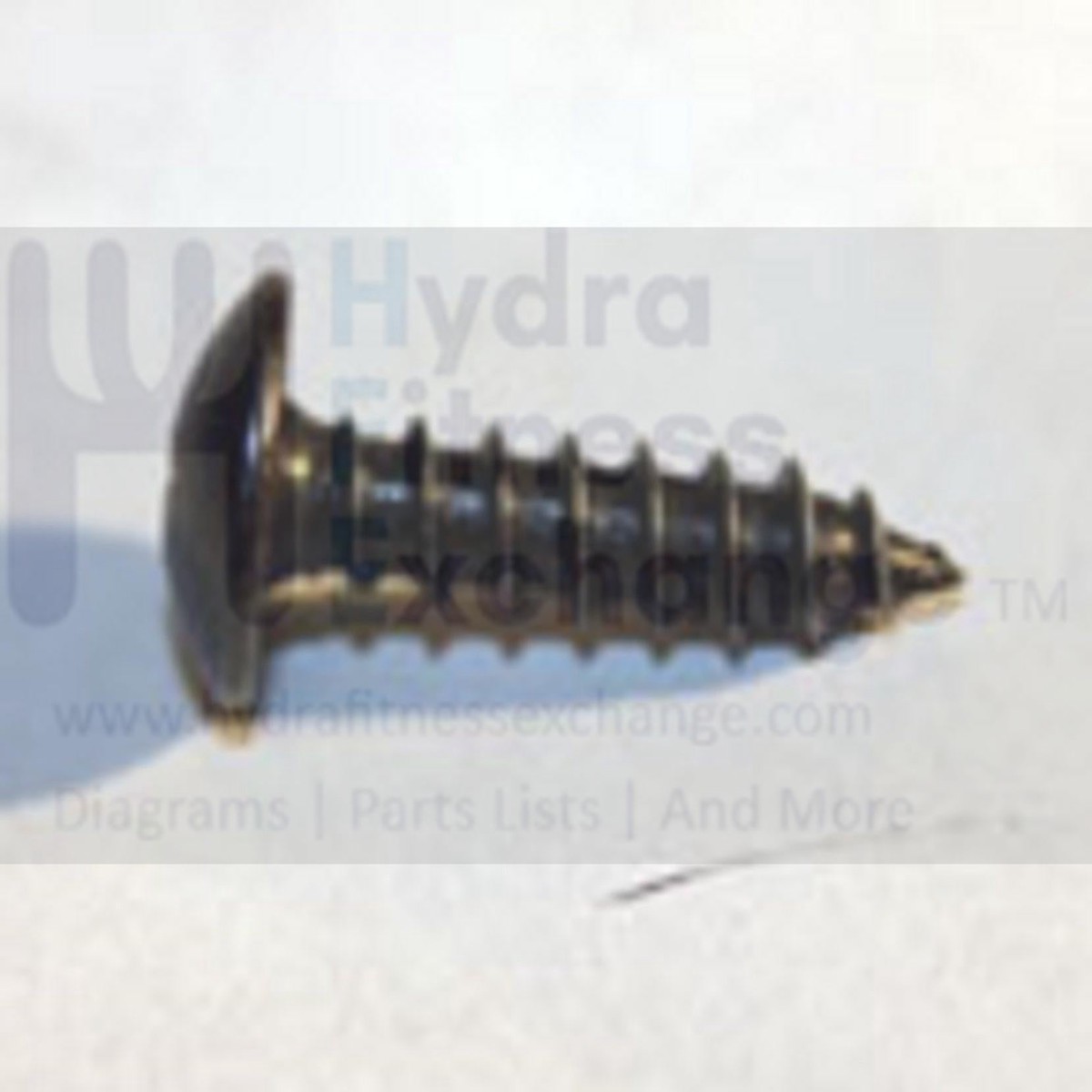 AFG Horizon Matrix Vision Fitness Livestrong Elliptical Umbrella Cross Tapped Screw 5x20L 004641-A