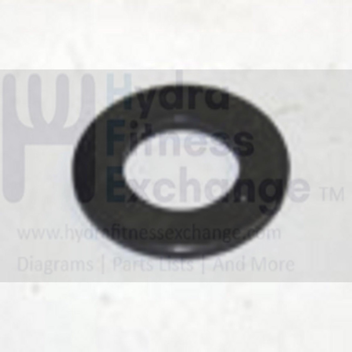 AFG Horizon Matrix Vision Fitness Livestrong Stationary Bike Flat Washer 8.2x15.0x1.2T 005048-00