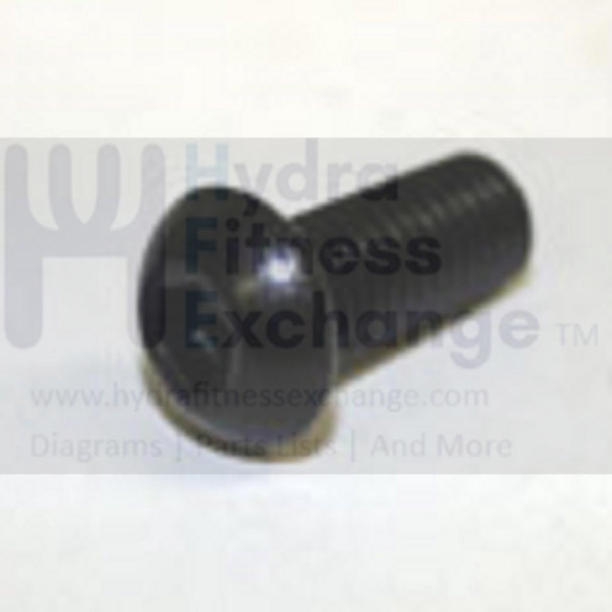 AFG Horizon Matrix Vision Livestrong Stationary Bike Button Head Screw M8x1.25Px20L 004720-00
