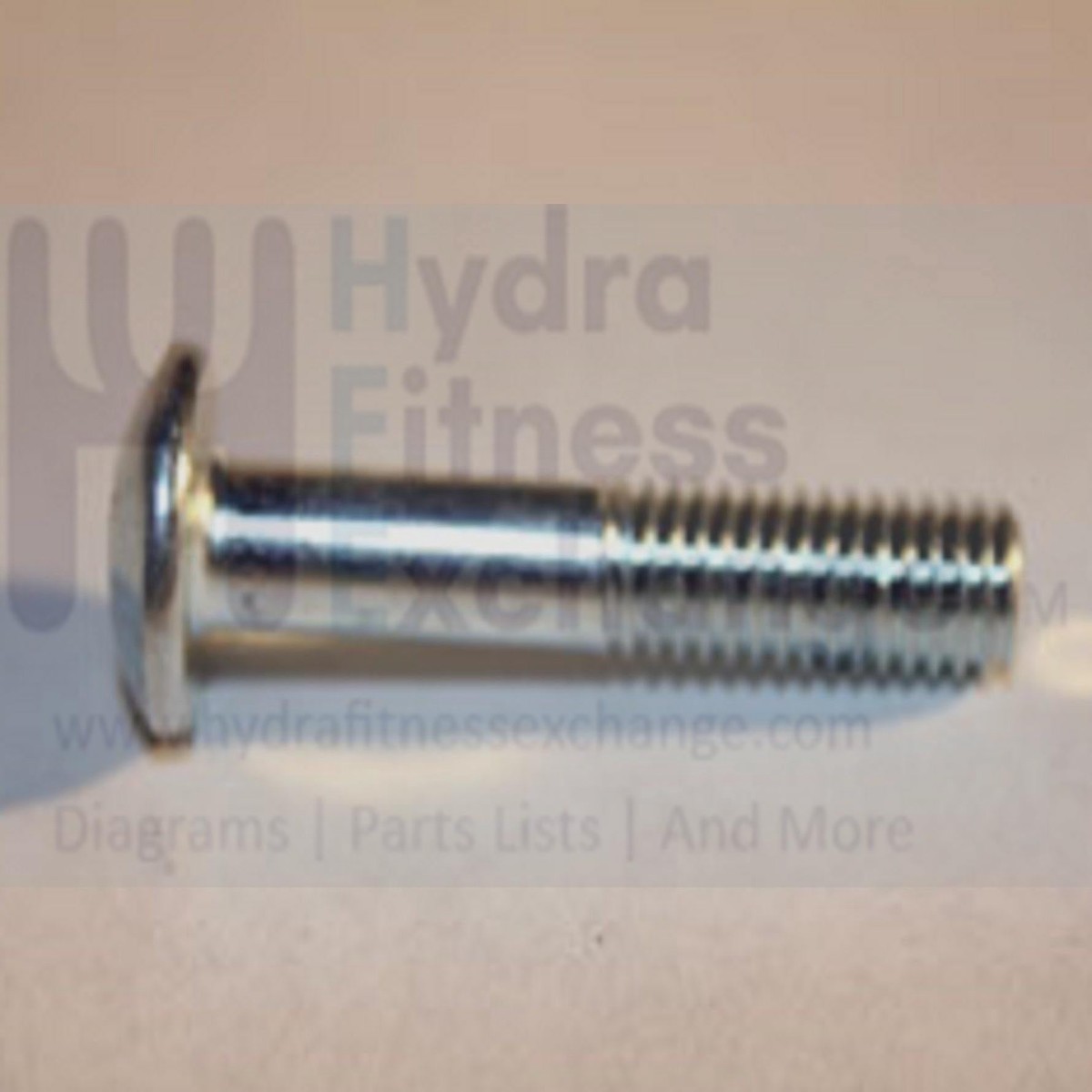 AFG Horizon Tempo Vision Livestrong Stationary Bike Button Head Phillip Screw 3x12L 004613-00
