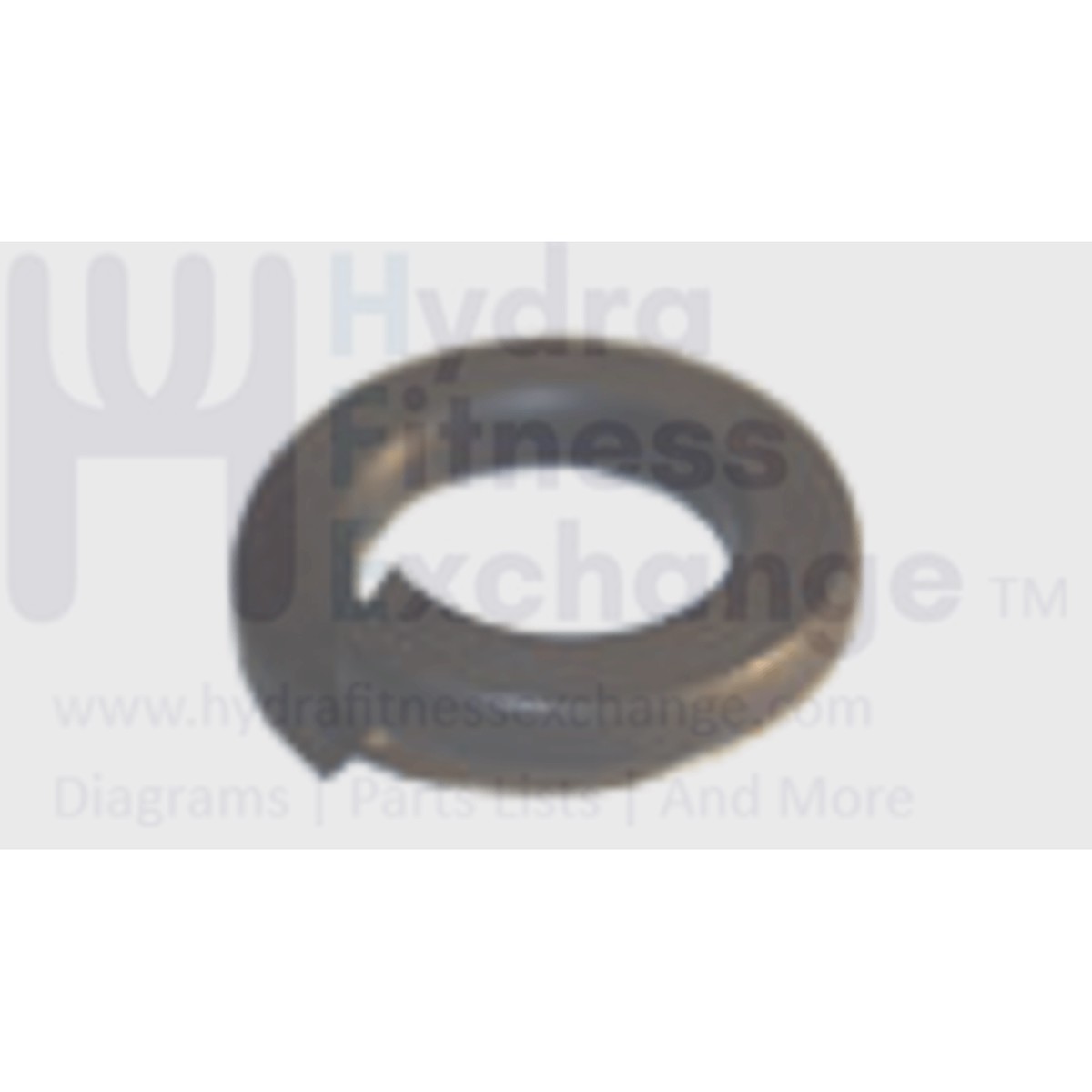 AFG Horizon Matrix Livestrong Vision Stationary Bike Spring Lock Washer M10.2x19x2T 020423-A