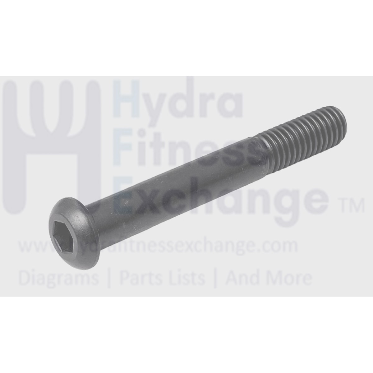 Xterra Fitness Treadmill Button Head Bolt M8 - 1.25 x 70mm Threads 20mm 341610