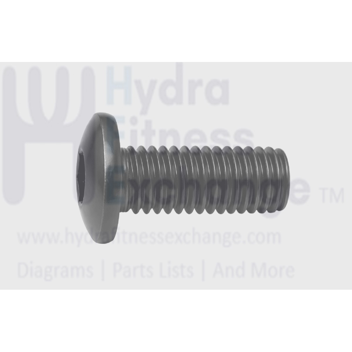 Xterra Fitness Treadmill Button Head Cap Hex Socket Screw 5 - 16 x 18/3 - 4"