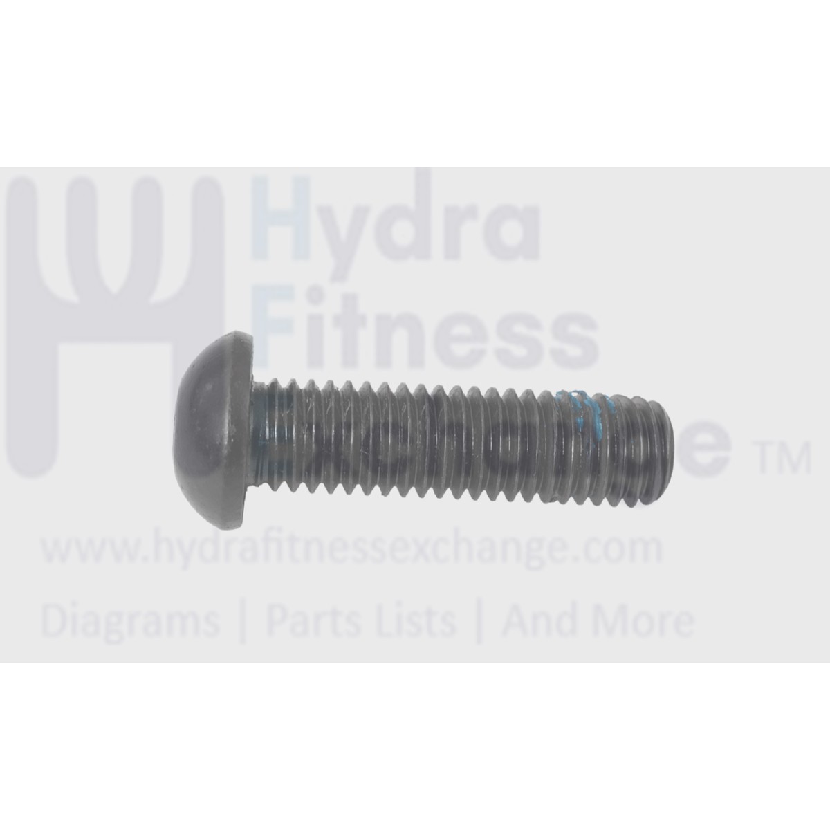 Xterra Fitness Treadmill Button Head Cap Hex Socket Screw  M8 - 1.25 x 25mm