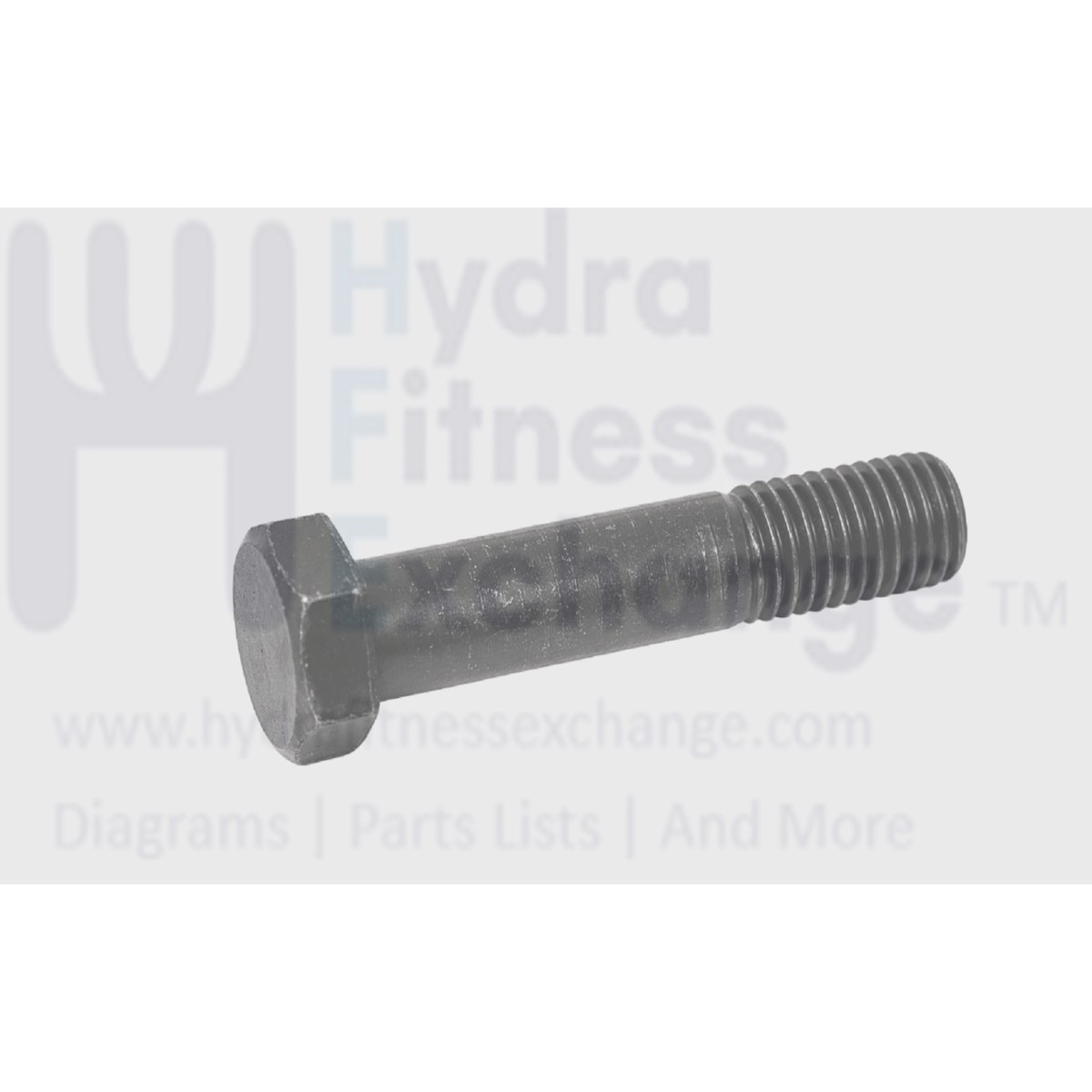 Xterra Fitness Treadmill Head Hex Bolt 3 - 8 x 16/1 x 3 - 4" Thread J011007-Y3