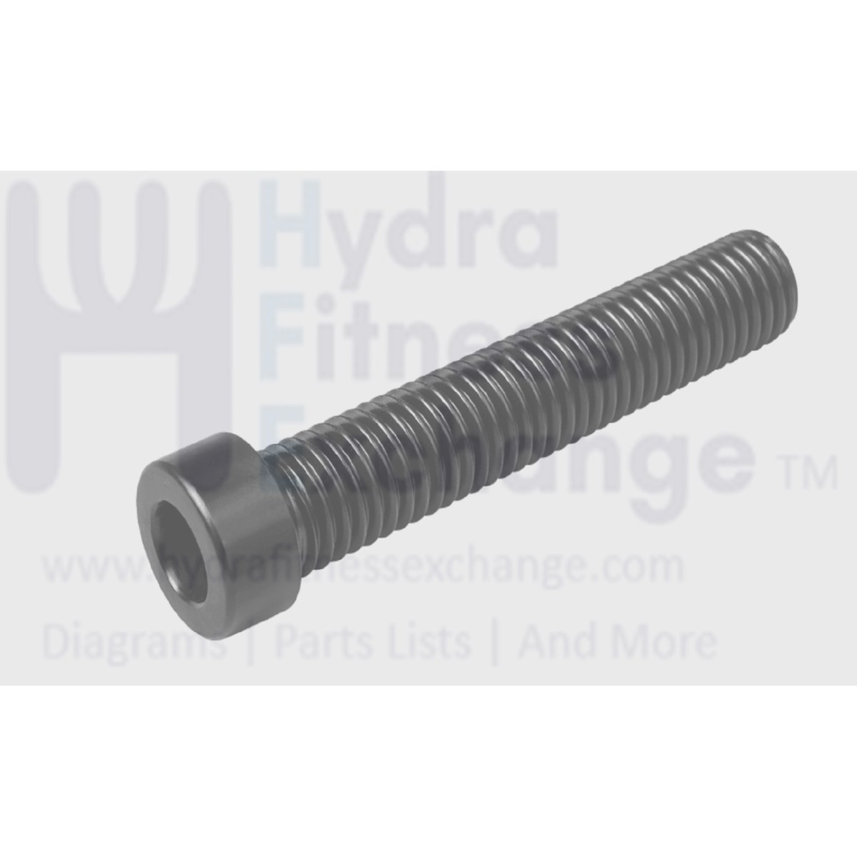 Xterra Fitness Treadmill Round Head Hex Socket Screw M8 - 1.25 x 80mm J033016-ZS