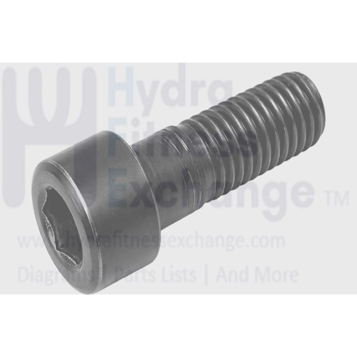 Xterra Treadmill Round Head Hex Socket Screw M10 - 1.5 x 25mm x 15mm Threads