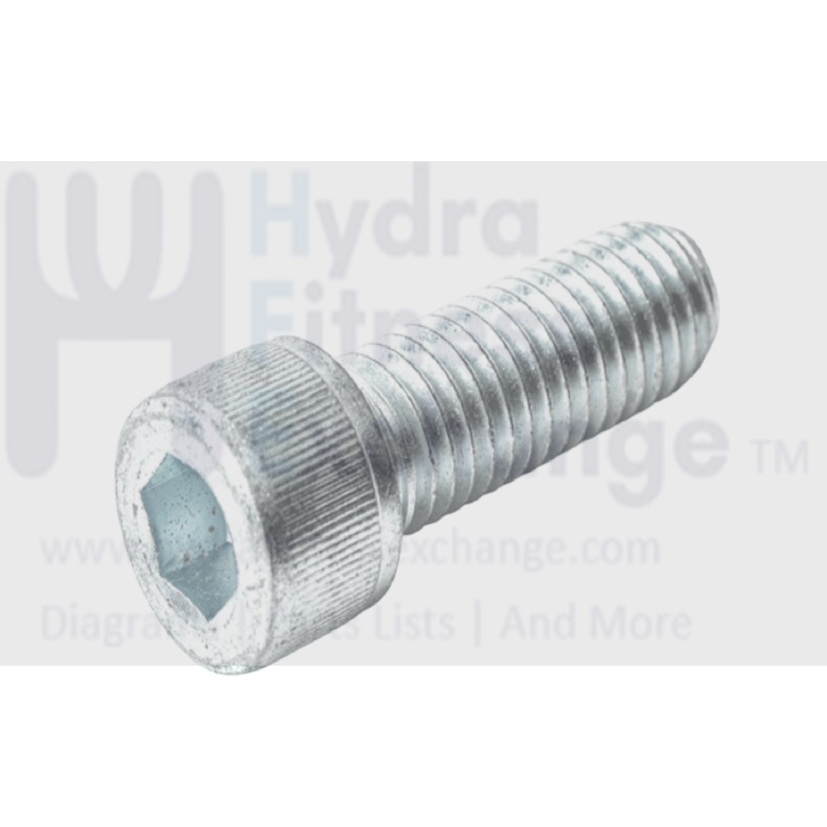 Strength System Round Head Hex Socket Screw 1/2-13 x 1.5 Precor CWCACN050-150