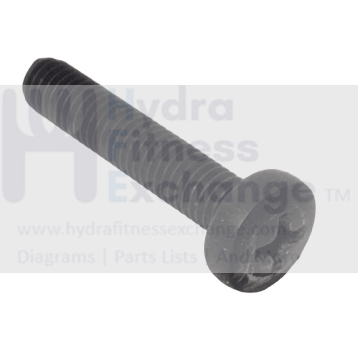 Technogym Skillrun DJJ0AU Treadmill Phillips Machine Screw M5-0.8 11mm