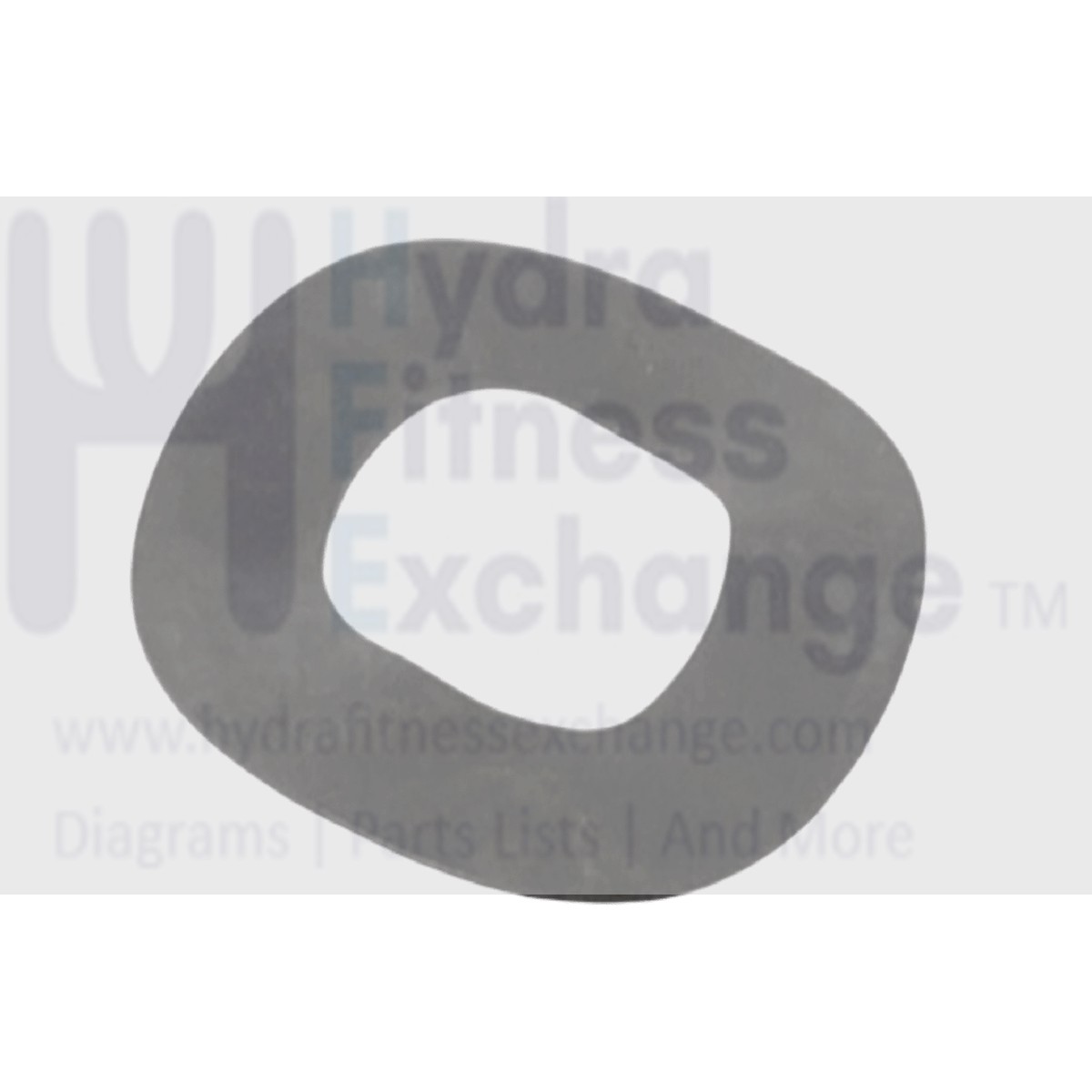 Wave Washer 19.5mm ID x 38mm OD x 0.3mm 1000415053 for Bowflex Elliptical