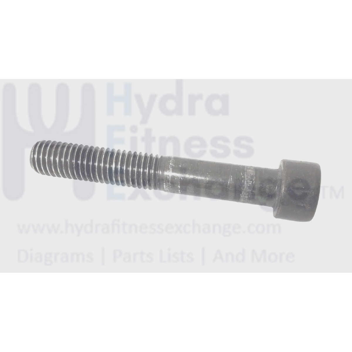 Bowflex Treadmill Round Hex Socket Head Screw M8-1.25 x L 55mm x 30mm 1000179410