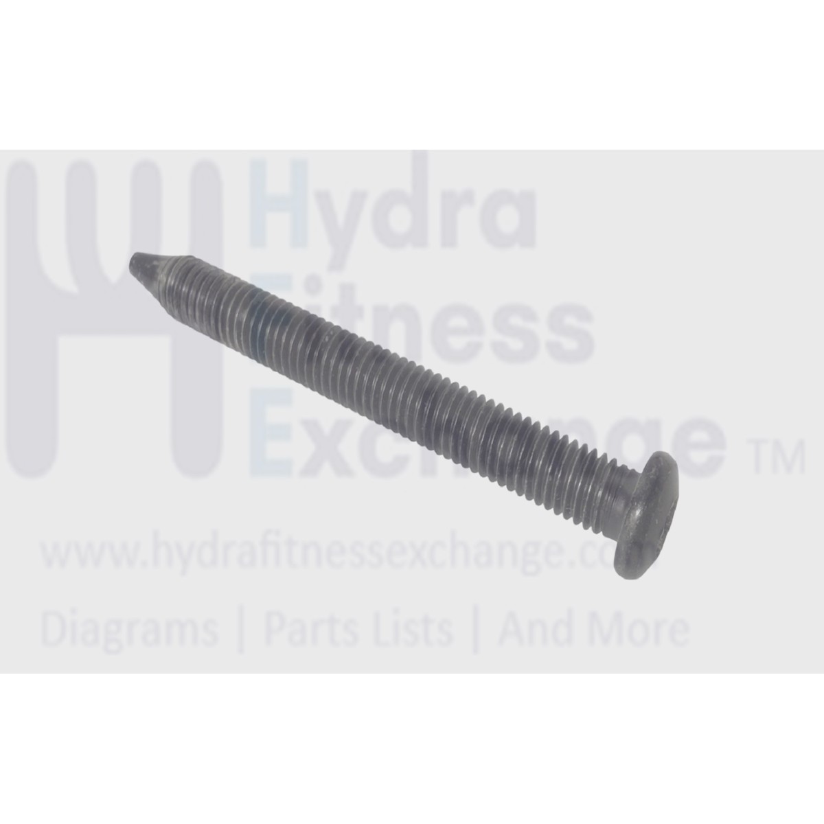 CardioZone Treadmill Button Head Phillips Screw M8 - 1.25 x 75mm 084747