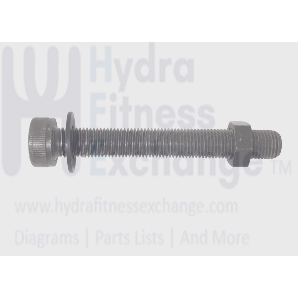 CardioZone Treadmill Round Head Hex Socket Screw M10 - 1.5 x 100mm 089287