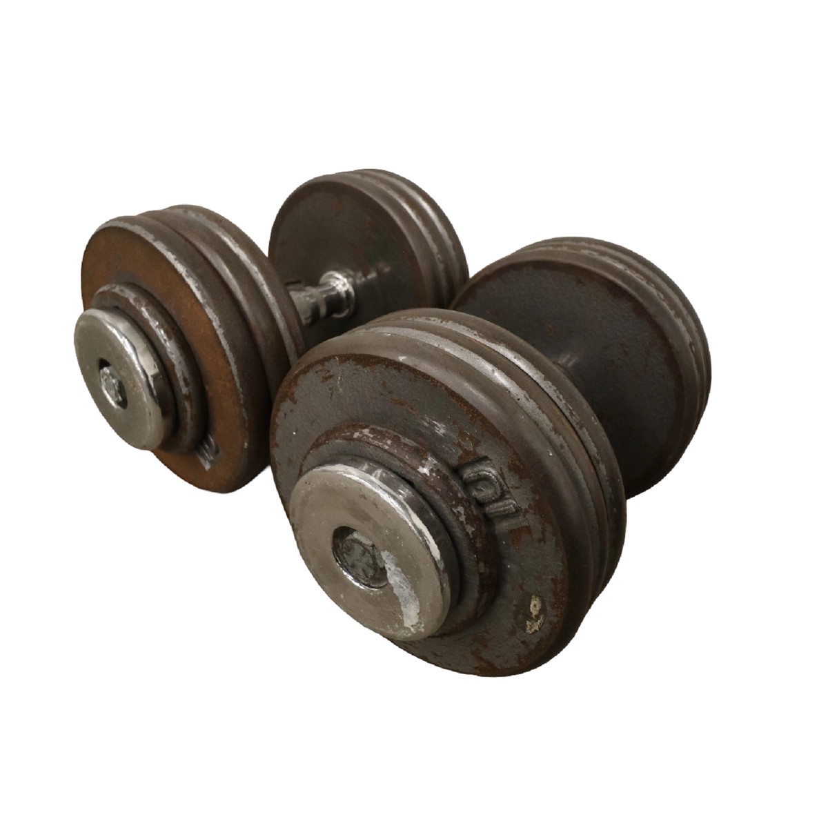 Freeweights Pro Style Dumbbell 75 LB Pair Freeweights & Accessories