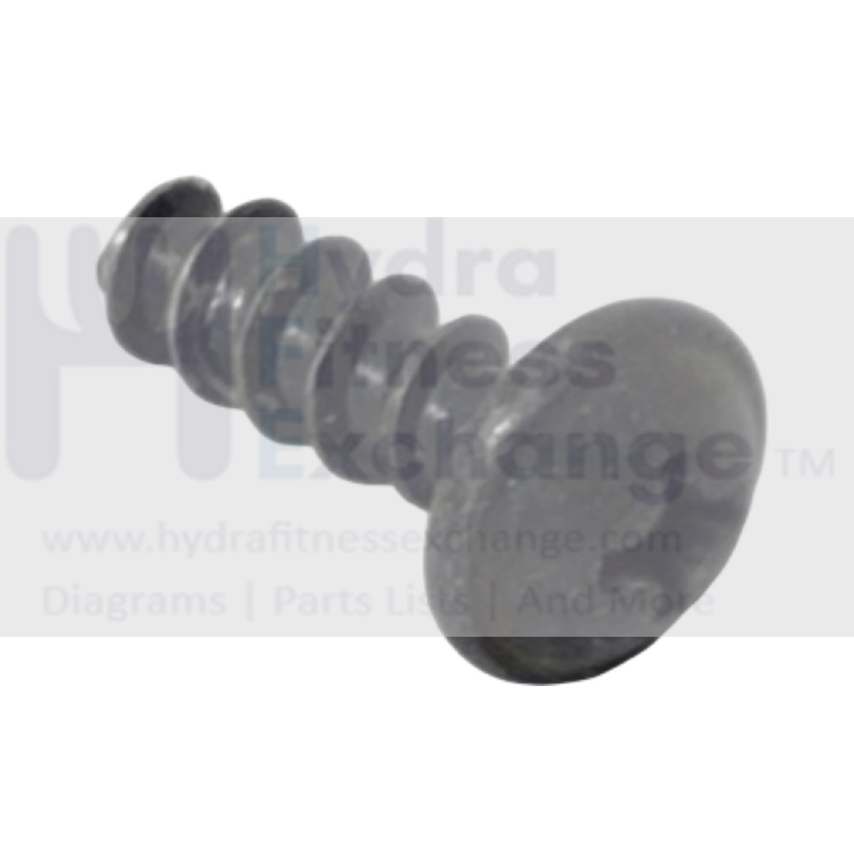 Technogym Skillrun DJJ0AU Treadmill Phillip Frame Screw Coarse Thread 14mm 34912