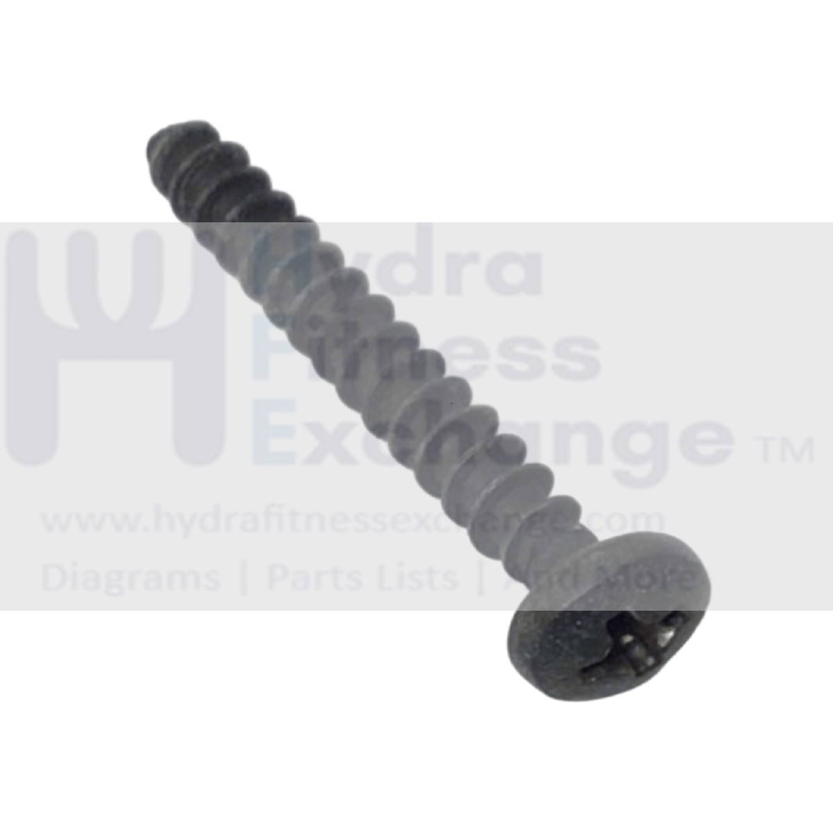 Technogym Skillrun DJJ0AU Treadmill Phillip Frame Screw Coarse Thread 30mm 34193