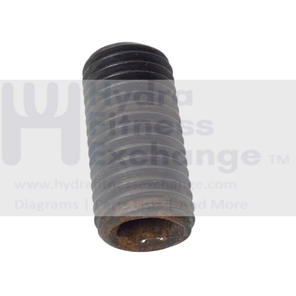 Technogym Treadmill Coarse Thread Set Screw M10-1.5 X 25mm 391940