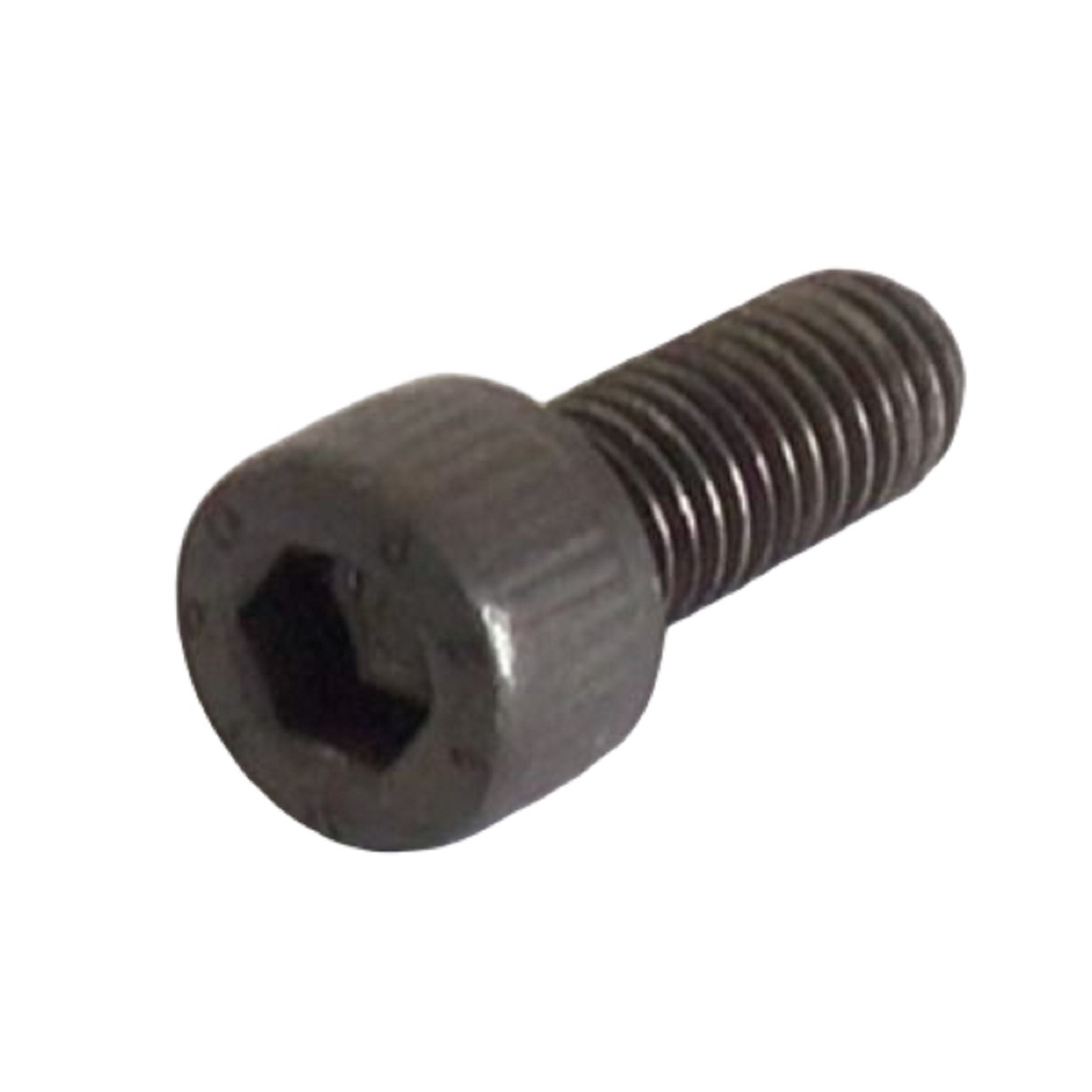 Technogym Treadmill Round Head Hex Socket Screw M8-1.25 3-4inch 370138