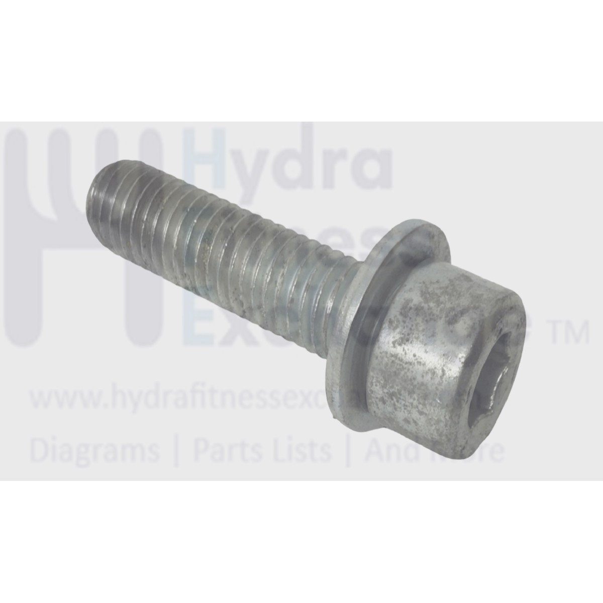 Technogym Treadmill Round Head Hex Socket Screw w/Washer M10 - 1.5 x 40mm 34899