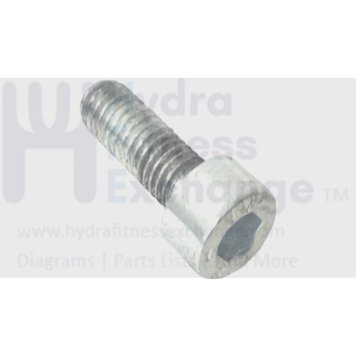 Technogym Treadmill Round Head Hex Socket Stainless Steel Screw M5 - 0.8 x 14mm
