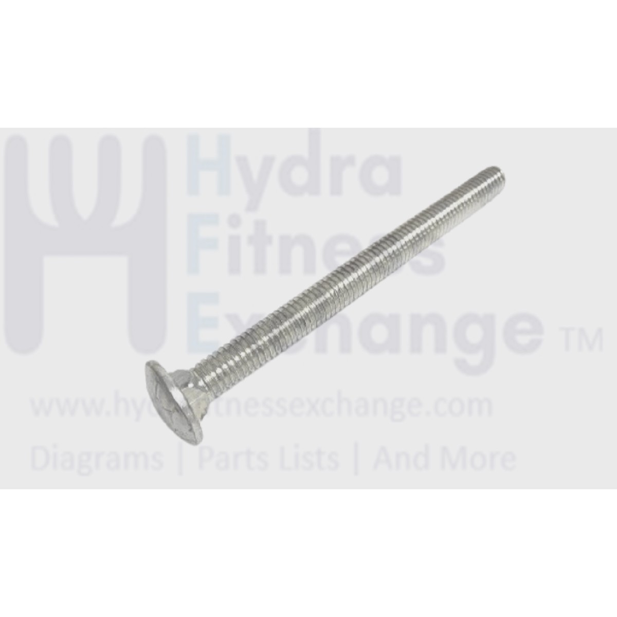 Bowflex TC5300 Treadclimber Treadmill Carriage Bolt 5/16" - 18 X 4