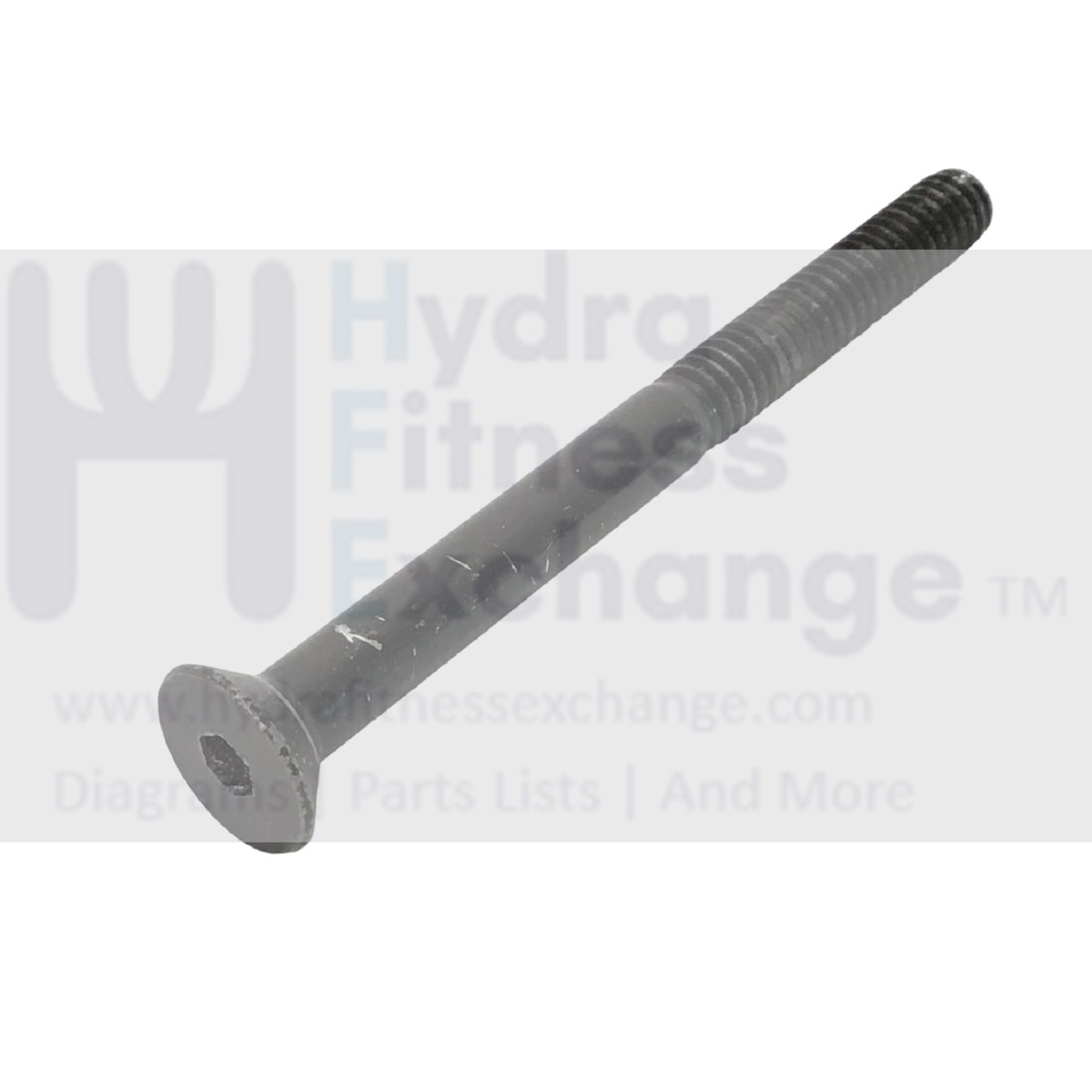 Bremshey TR Ambition Treadmill Flat Head Screw 1/4-20-2.80" TR-FHS