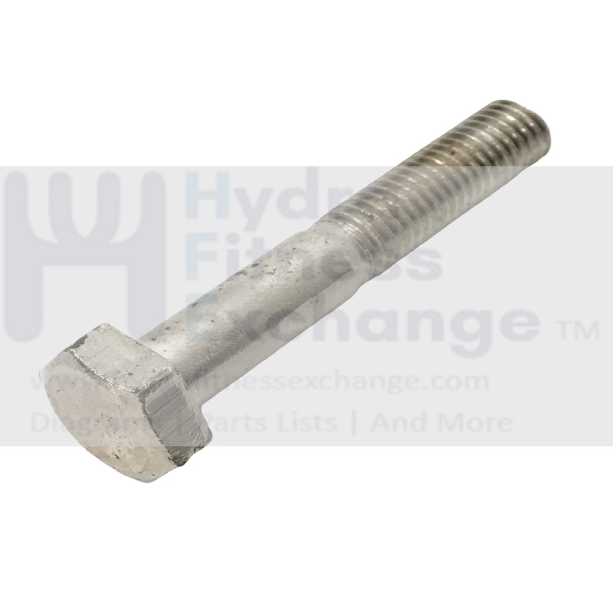 Bremshey TR Ambition Treadmill Hex Head Screw Bolt M8-1.25 x 50mm