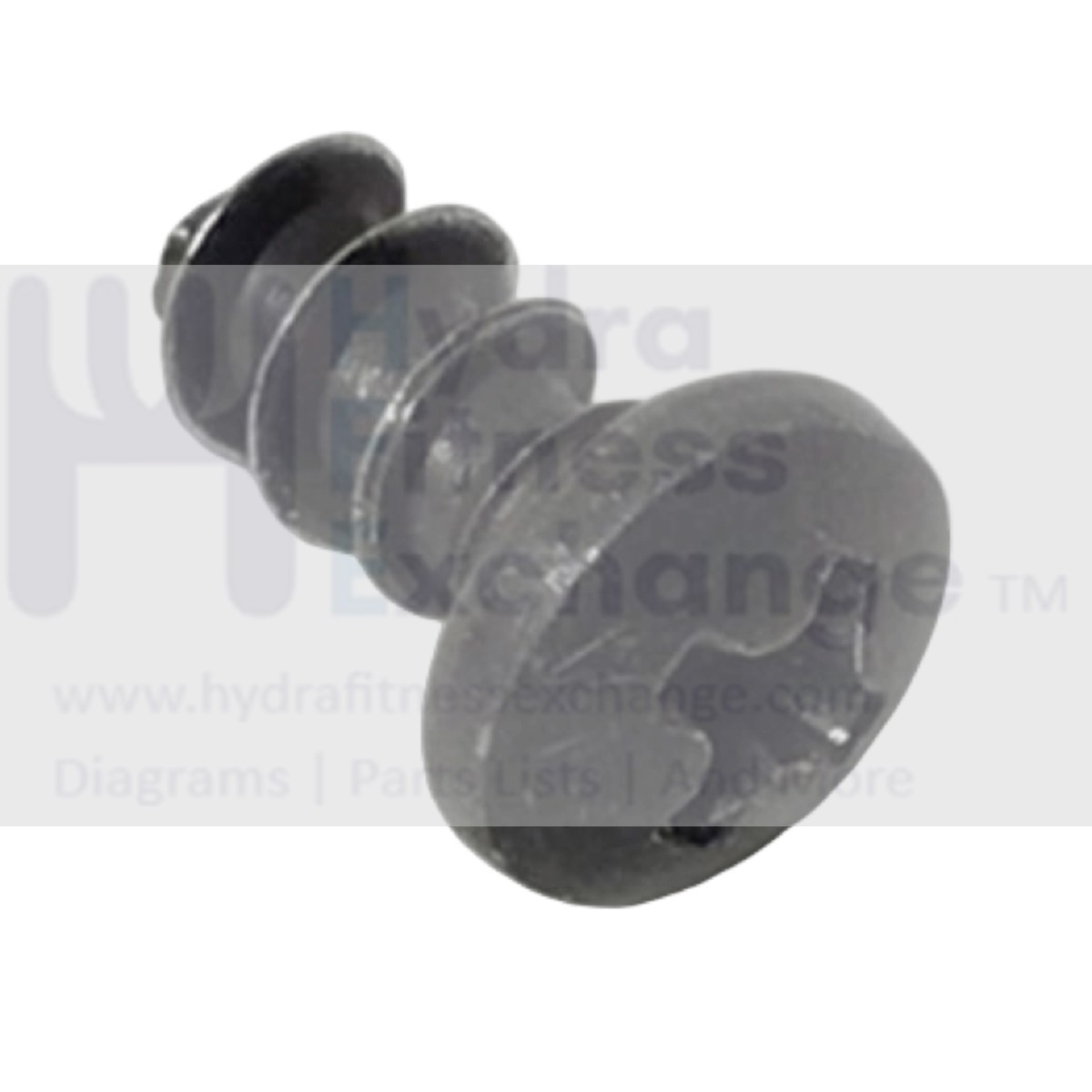Technogym Skillrun DJJ0AU Treadmill Phillip Frame Screw Coarse Thread 10mm 37194