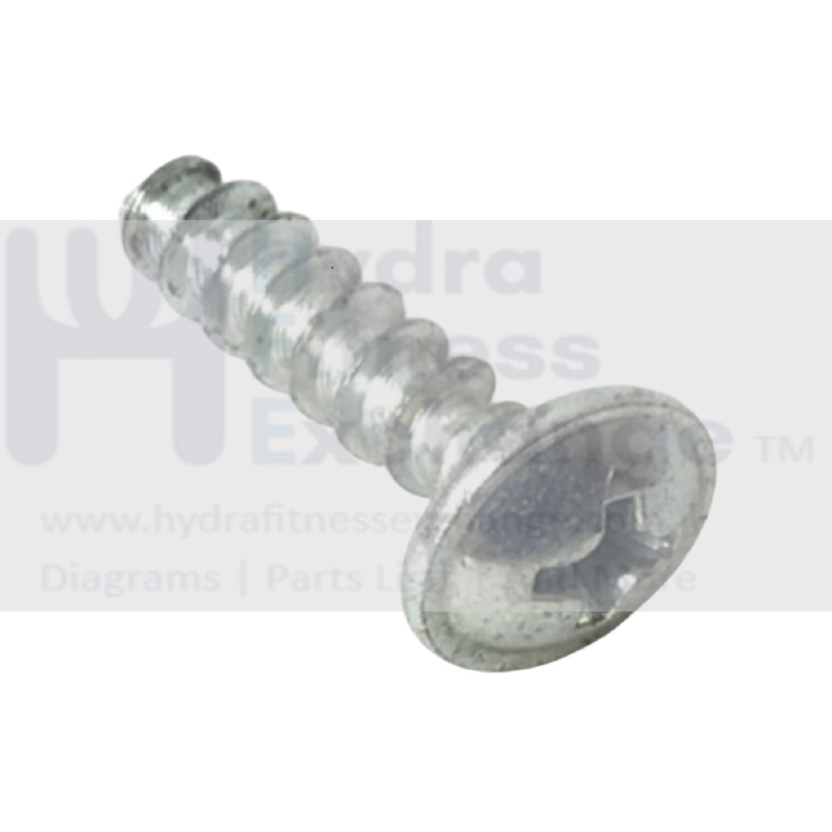 Technogym Skillrun DJJ0AU Treadmill Phillips Bracket Screw 16mm 37916
