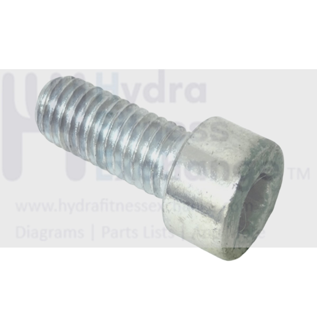 Technogym Treadmill Round Head Hex Socket Screw w/Washer M8 - 1.25 x 20mm 34109