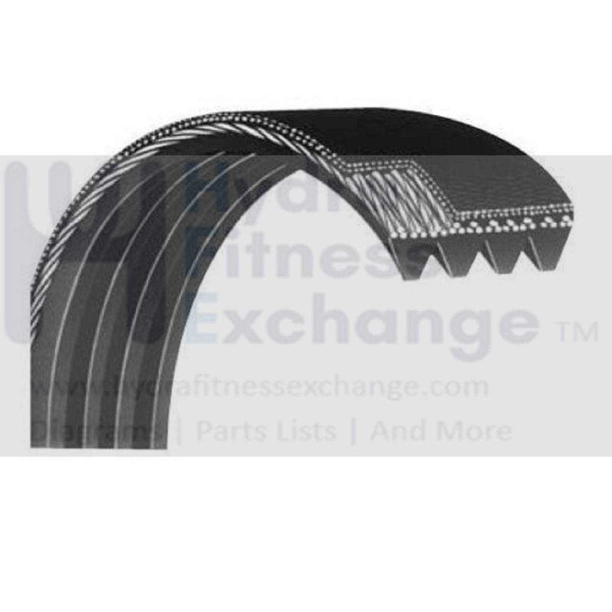 True Fitness CS900 UCS900 Upright Bike Primary Pulley Drive Belt 43" 9UCS0030