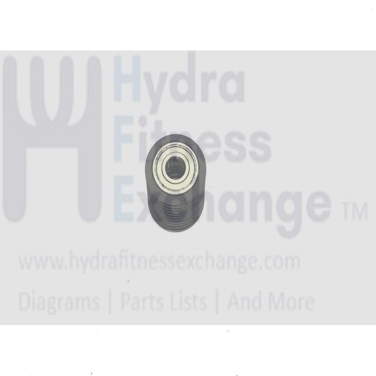 True Fitness XCS800 CS800 2010 Elliptical Internal Sub Tensioner & Bearing 6001Z