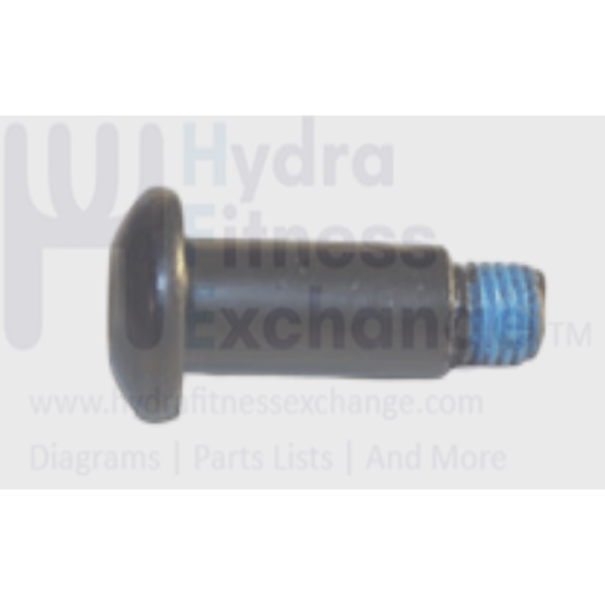 Vision Fitness Treadmill Button Head Special Screw 10/M8x1.25Px31.5L 1000093371