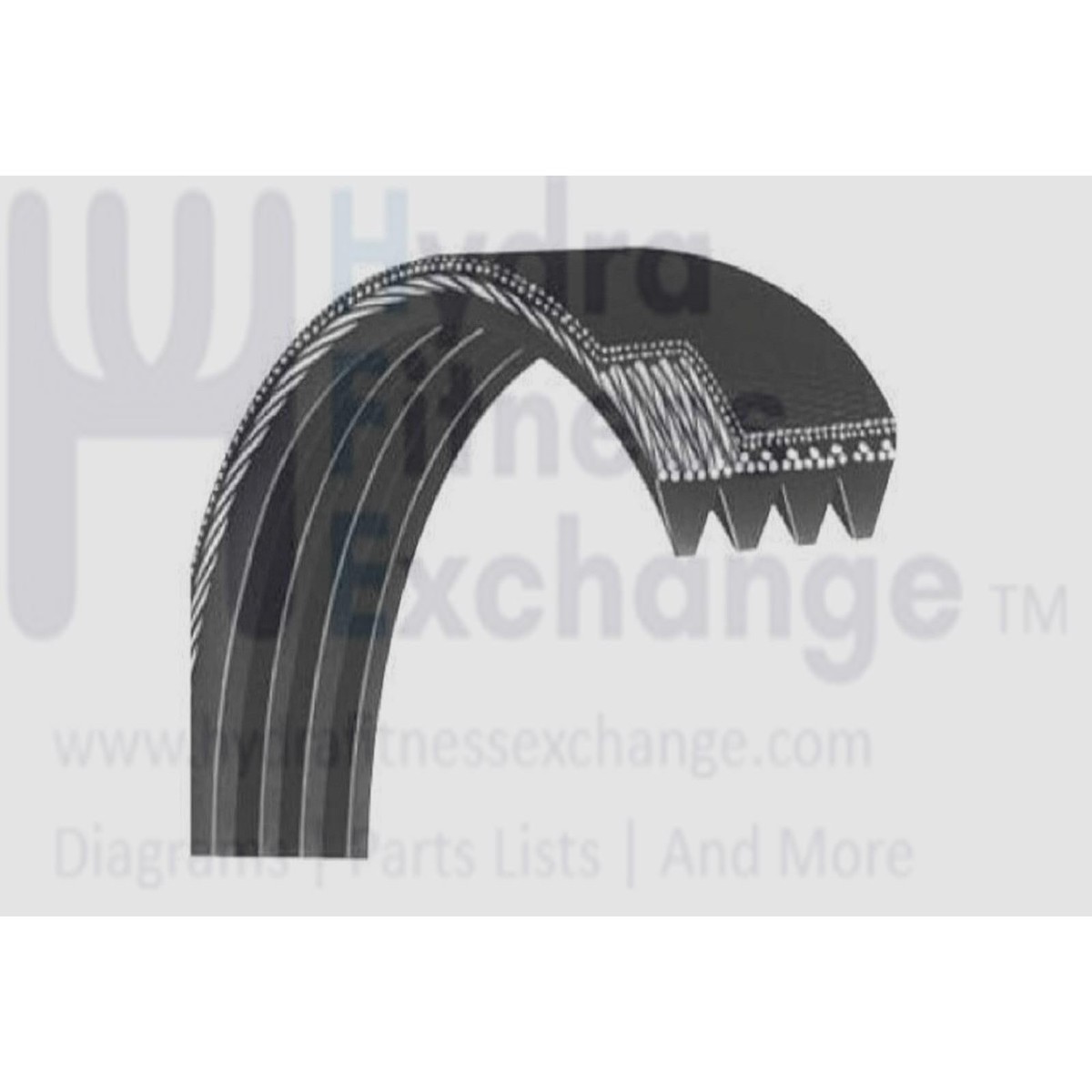 Xystos X1 Treadmill Motor Drive Belt 22"