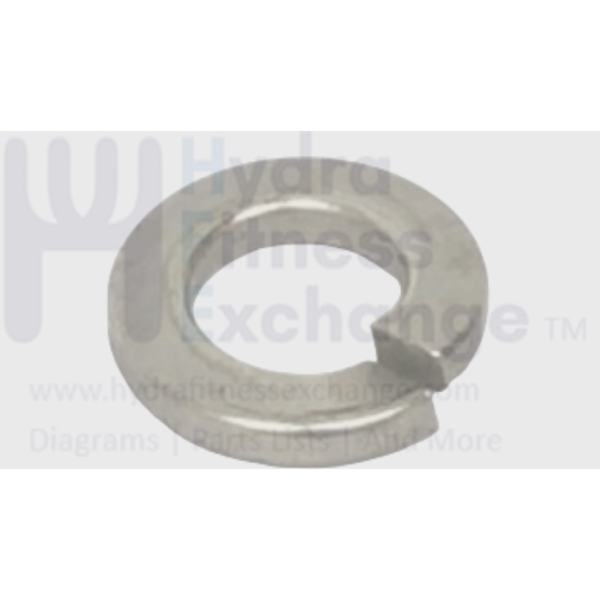 AFG Vision Fitness Treadmill Spring Washer Chromed 8.2 x 15.4 x 2.0T 005009-00