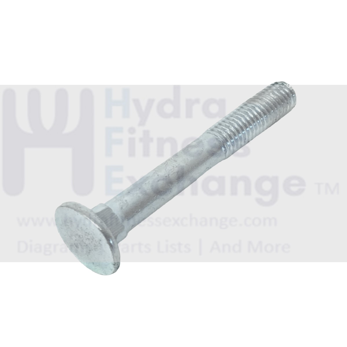 Bowflex Strength System Bolt Carriage Chrome M8-1.25 x 60mm