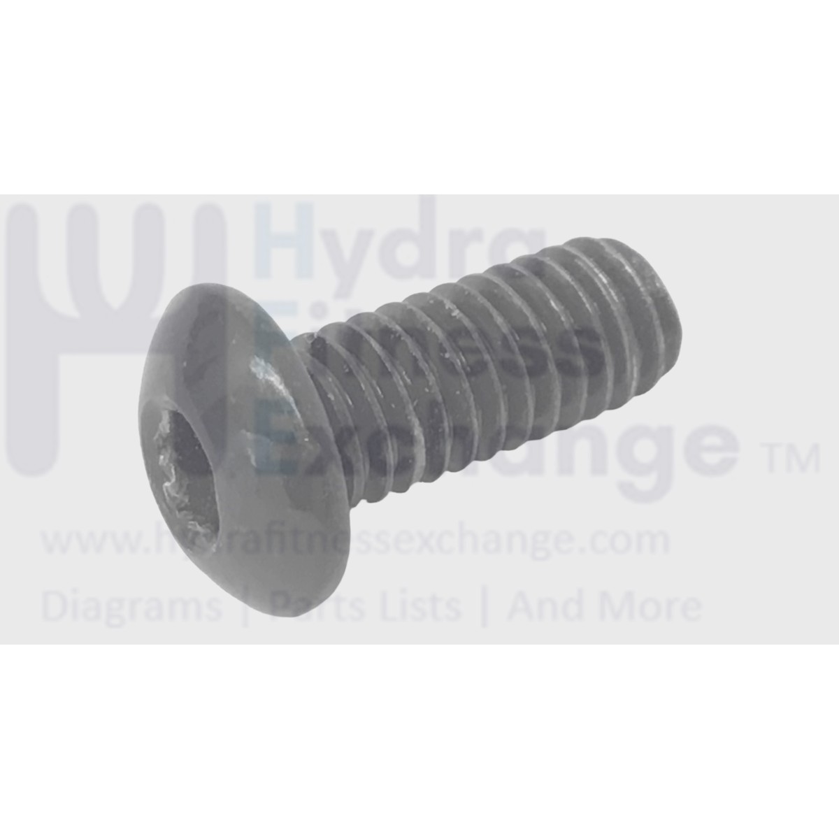 Bowflex Strength System Button Head Hex Screw 5-16-18x.75 Inch