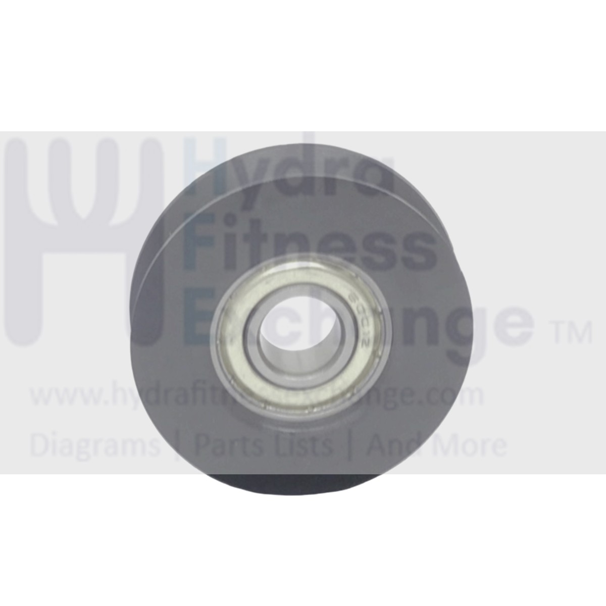 Concept II SkiErg Ski Machine Pulley Assembly 2834