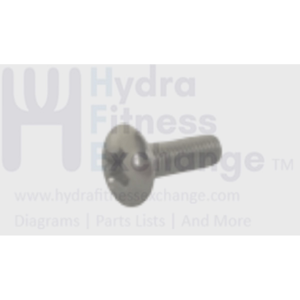 Matrix Fitness CS29 CS30 CS30N EP630D EP629 EP630 Stepper Step Button Head Phillip Screw M3 - 0.5P x 10L 1000404515