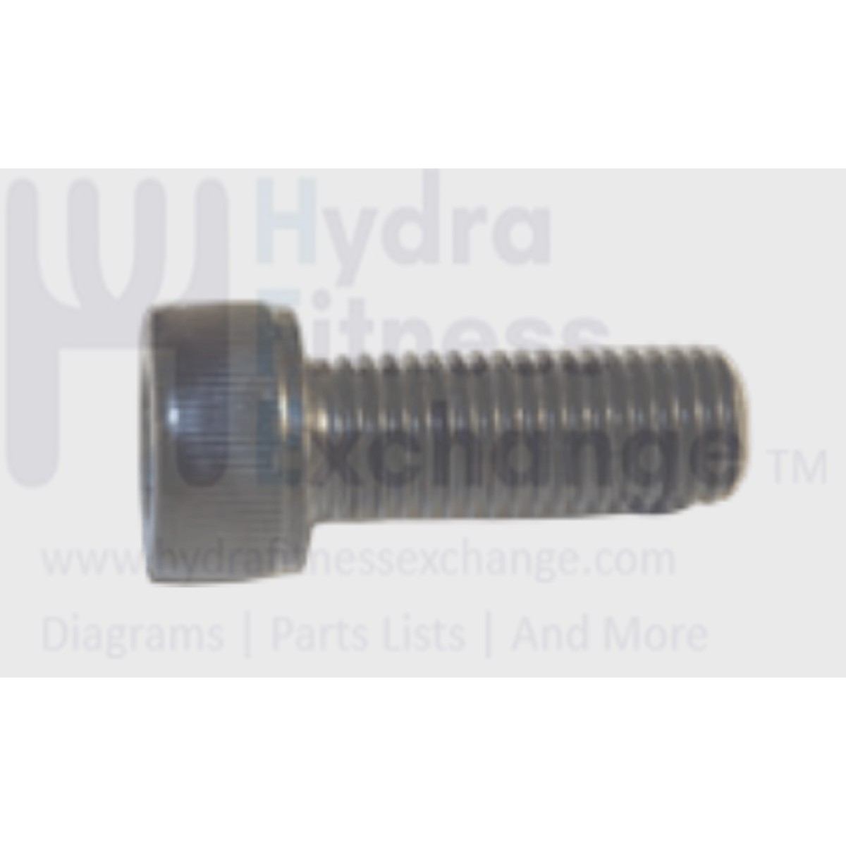 Matrix Fitness Stepper Step Round Head Hex Socket Screw M10 - 1.5P x 30L 004515-00